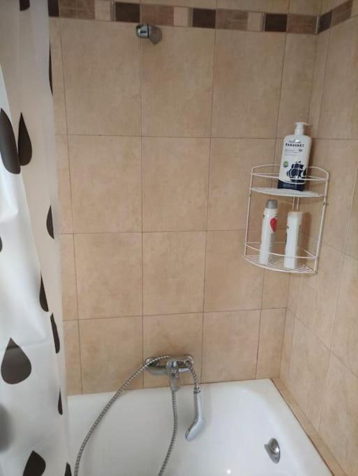 Το Σπίτι Της Περσεφόνης Apartment Athena Bagian luar foto